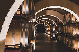 BODEGAS LUZON
