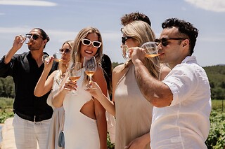Brunch de lujo con cata de vino y cava en una bodega para 1 en Wine Stories en Barcelona