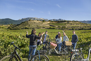 Una visita a viñedo en ebike y cata de vinos en bodega para 2 en Bodegas Izadi en Villabuena de Álava (Álava)