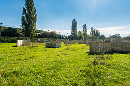 Paradise Paintball