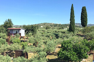 Dos noches en Casa árbol observatorio para 2 en Ecoturismo Villafeliche en Camarles (Tarragona)