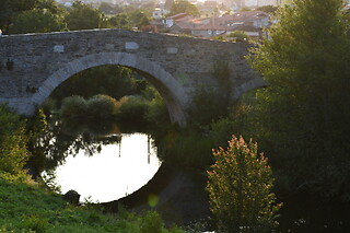 Dos noches en albergue con transporte de mochilas, free tour, dossier y vieiras peregrinas para 2 en Camino Compostela en Santiago de Compostela