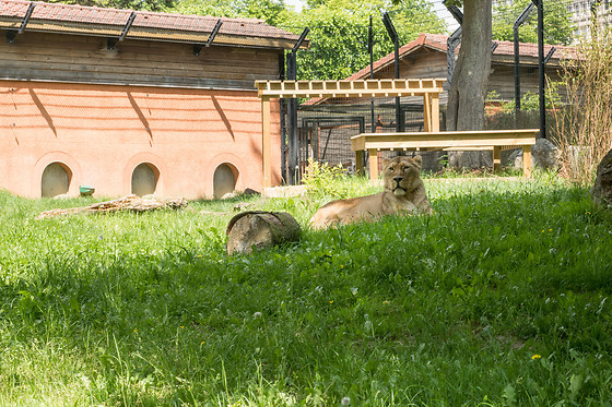 Parc zoologique de Maubeuge - photo 22