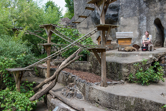 Parc zoologique de Maubeuge - photo 13