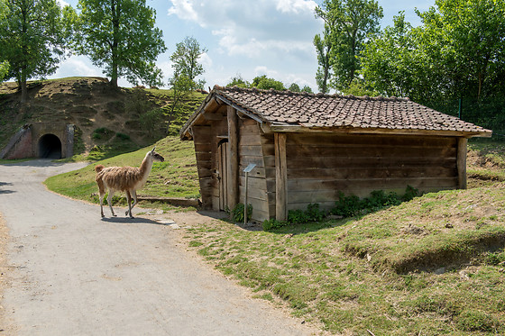 Parc zoologique de Maubeuge - photo 14