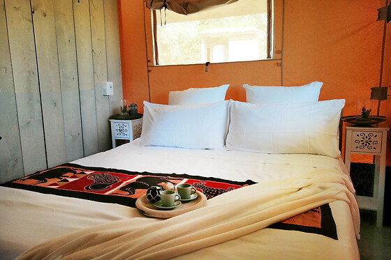 Residence & Glamping Il Villaggio del Re - photo 0