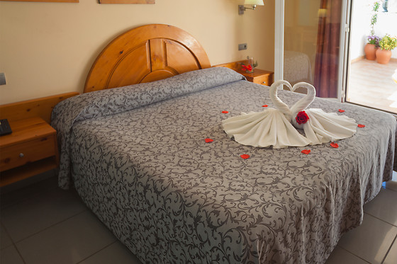 HOTEL EL PINCHE DE ORO - photo 4