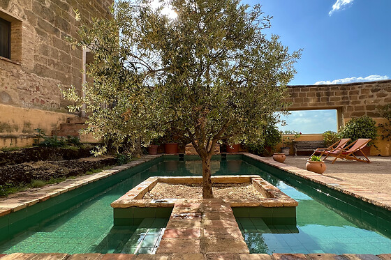 CASTILLO DE CORVINOS - photo 2