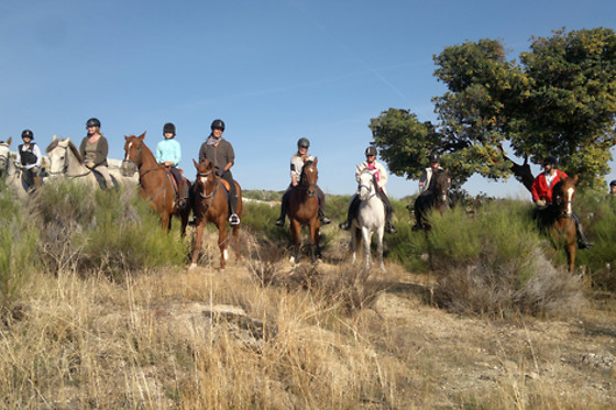 Ruta a caballo con monitor en Cadalso de los Vidrios (Madrid)