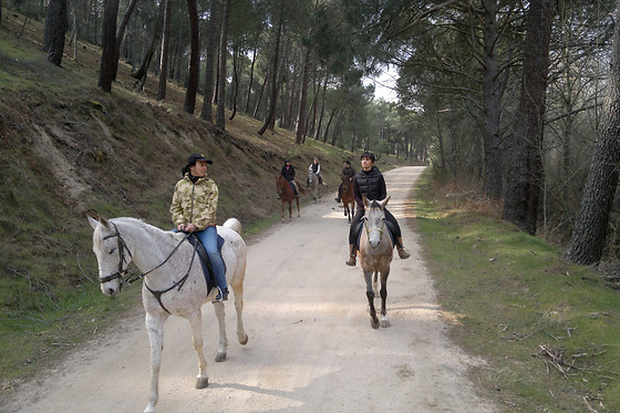 Ruta a caballo con monitor en Cadalso de los Vidrios (Madrid)