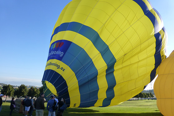BALLOONING - photo 1