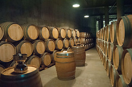 CELLER COOPERATIU GANDESA