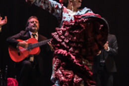 TEATRO FLAMENCO SEVILLA