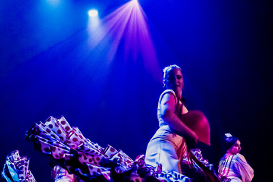 TEATRO FLAMENCO SEVILLA - photo 7