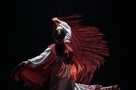 TEATRO FLAMENCO SEVILLA - photo 8