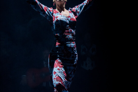 TEATRO FLAMENCO SEVILLA - photo 10