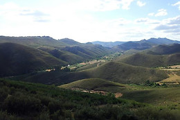 BODEGAS RUIZ TORRES