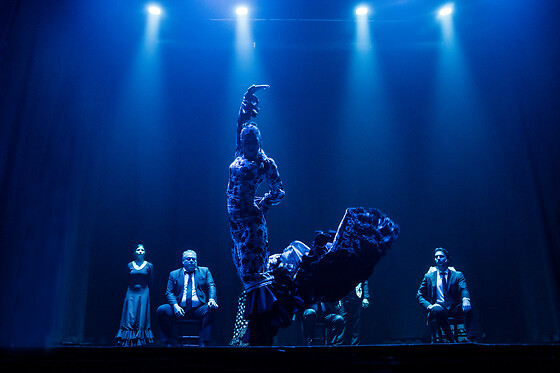 TEATRO FLAMENCO SEVILLA - photo 1
