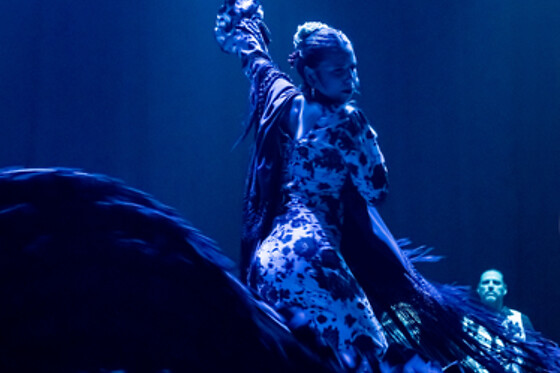 TEATRO FLAMENCO SEVILLA - photo 2