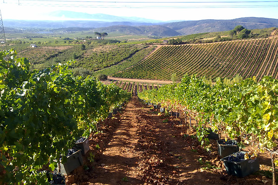 BODEGA DEL ABAD - photo 0
