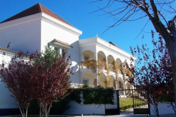 BODEGAS Y VIÑEDOS CASA DEL VALLE - photo 1