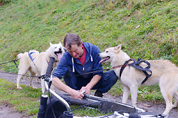 Elevage canin du clos de la vallée blanche
