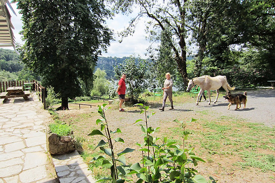 Ferme du Lac - photo 11