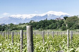 Agriturismo De Luca