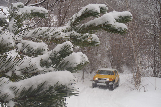 WHEELTRACKS 4X4 - photo 6