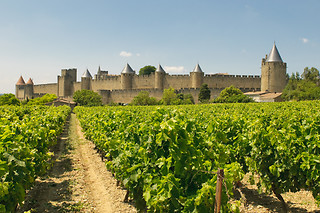 Escapada entre viñedos