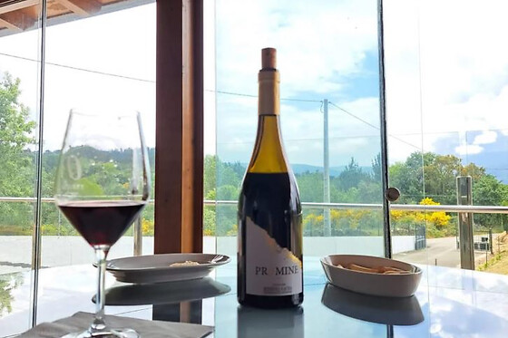 Una visita con cata comentada para 2 en Bodegas Petrón en Doade (Lugo)