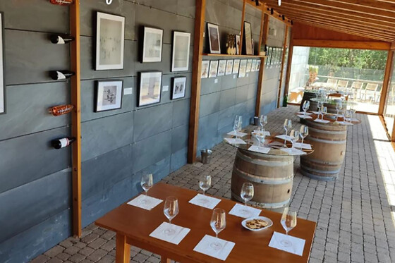 Una visita con cata comentada para 2 en Bodegas Petrón en Doade (Lugo)