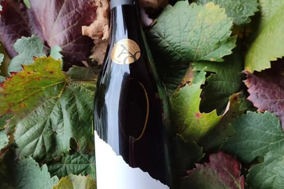 Una visita con cata comentada para 2 en Bodegas Petrón en Doade (Lugo)
