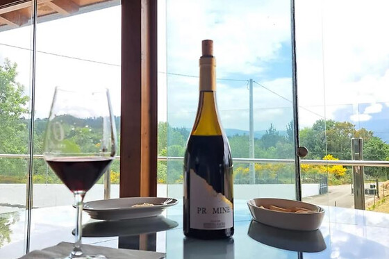 BODEGAS PETRÓN - photo 18