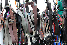 Oxygene 40