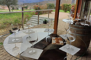 Una visita con cata comentada para 2 en Bodegas Petrón en Doade (Lugo)