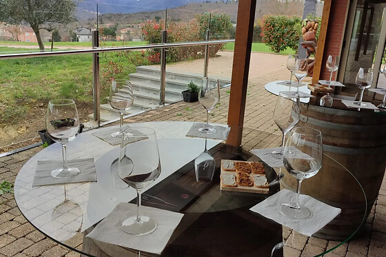 Una visita con cata comentada para 2 en Bodegas Petrón en Doade (Lugo)