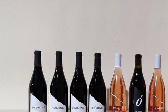 Una visita con cata comentada para 2 en Bodegas Petrón en Doade (Lugo)