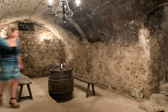 Château De La Roque Forcade - photo 12