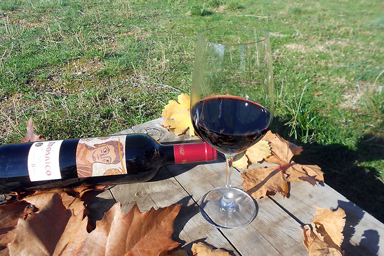 Una visita con degustación para 2 en Bodega El Mosaico de Baco en Aranda de Duero (Burgos)