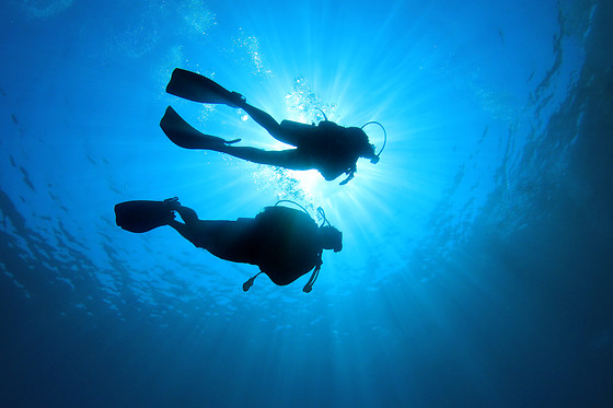 SOTACERO DIVING - photo 0
