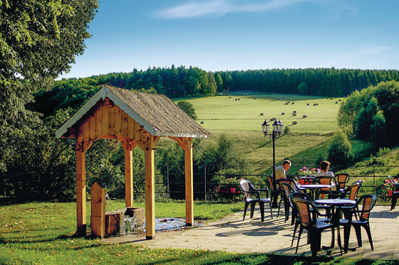 Complexe Hôtelier du Donon - Restaurant Velleda - photo 3
