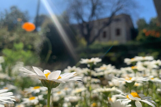 JARDIN BOTANICO DE SOLLER - photo 1