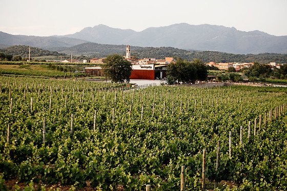 BODEGA LA VINYETA - photo 4