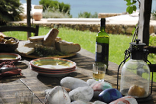 Vinos y degustaciones