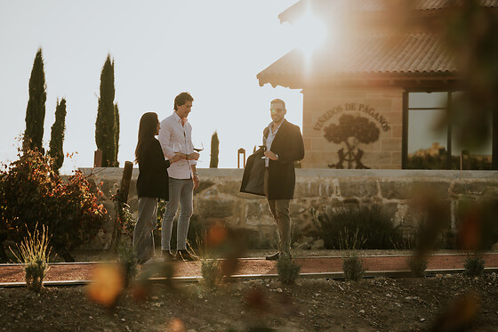 VIÑEDOS Y BODEGAS SIERRA CANTABRIA - photo 0