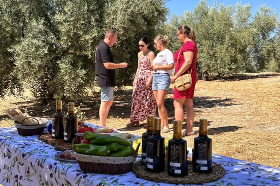 OLEOTURISMO LOS ALBACARES - photo 3