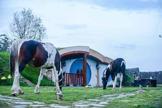 Dos noches con desayunos para 2 en Mi Tesoro en Viveiro (Lugo)
