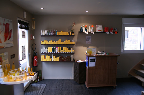 Zen Institut - photo 0