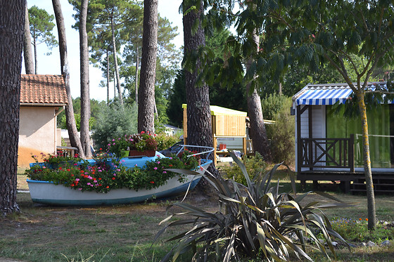 Camping les Echasses - photo 4